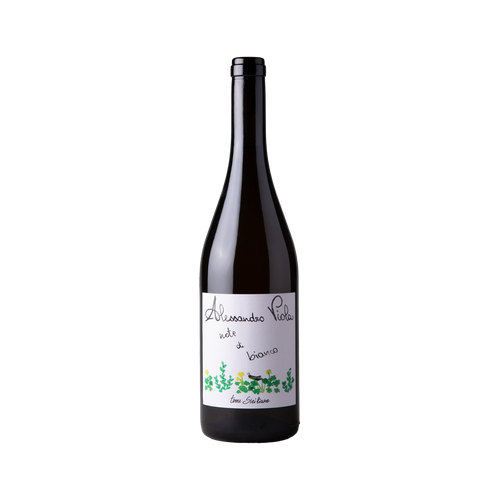 Alessandro Viola Note di Bianco Grillo 2023