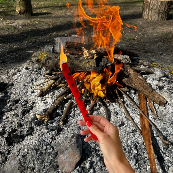 FireBee - pevný ekologický podpaľovač