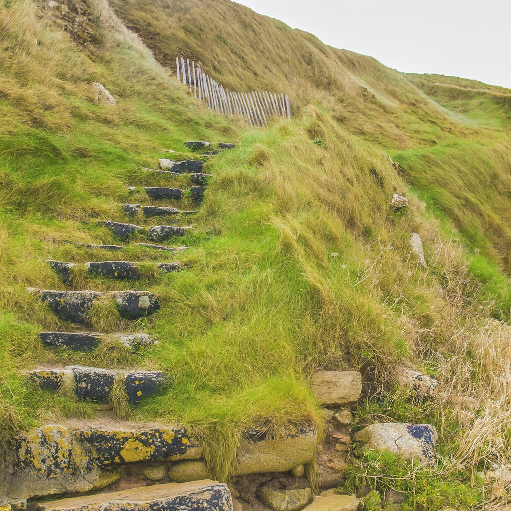 Ecological Change Is Not Perfection, but a Decision – Step by Step