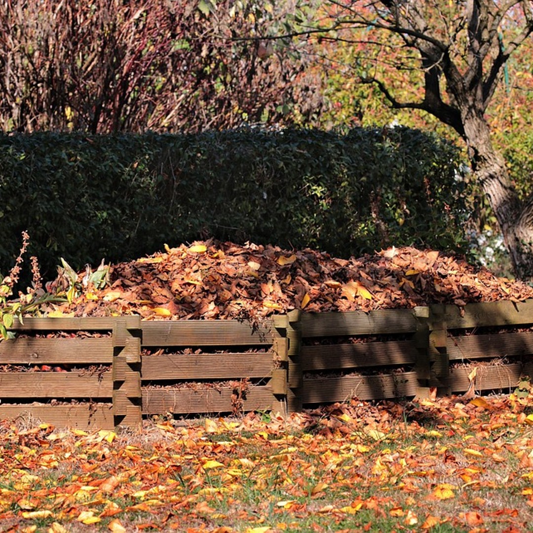 Autumn compost: What to add and what to leave until spring