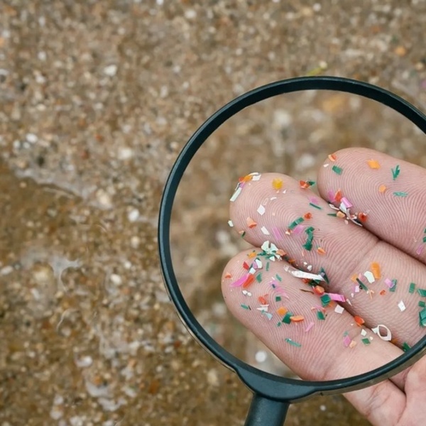 Mikroplastik im Haushalt: Der stille Feind, über den wenig gesprochen wird