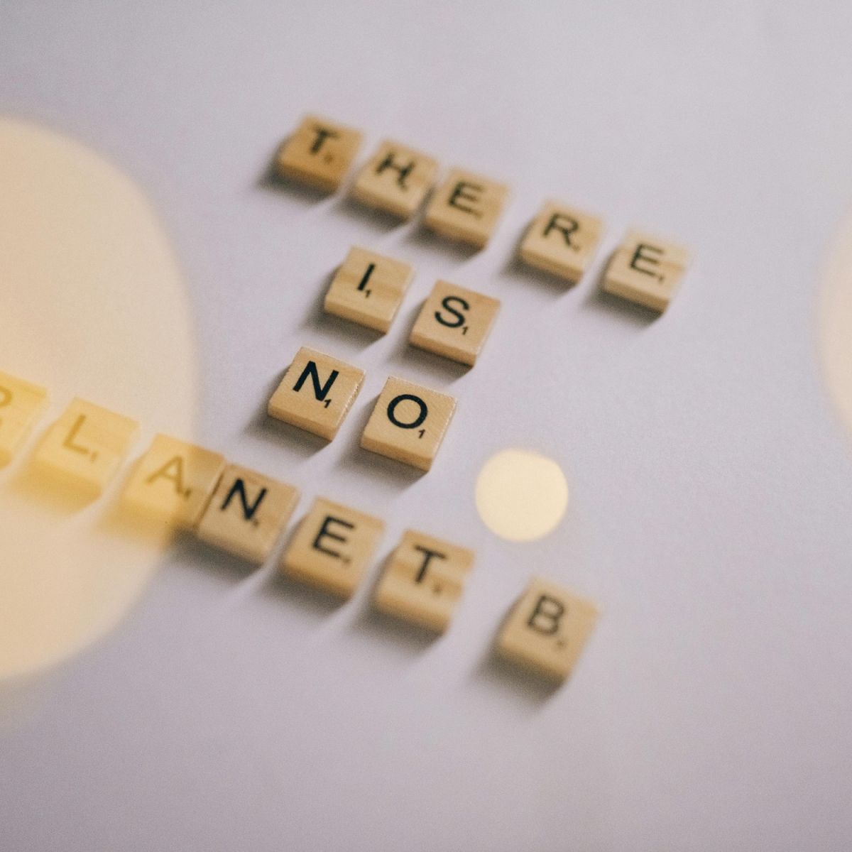 How would the planet look if everyone had at home only what they need