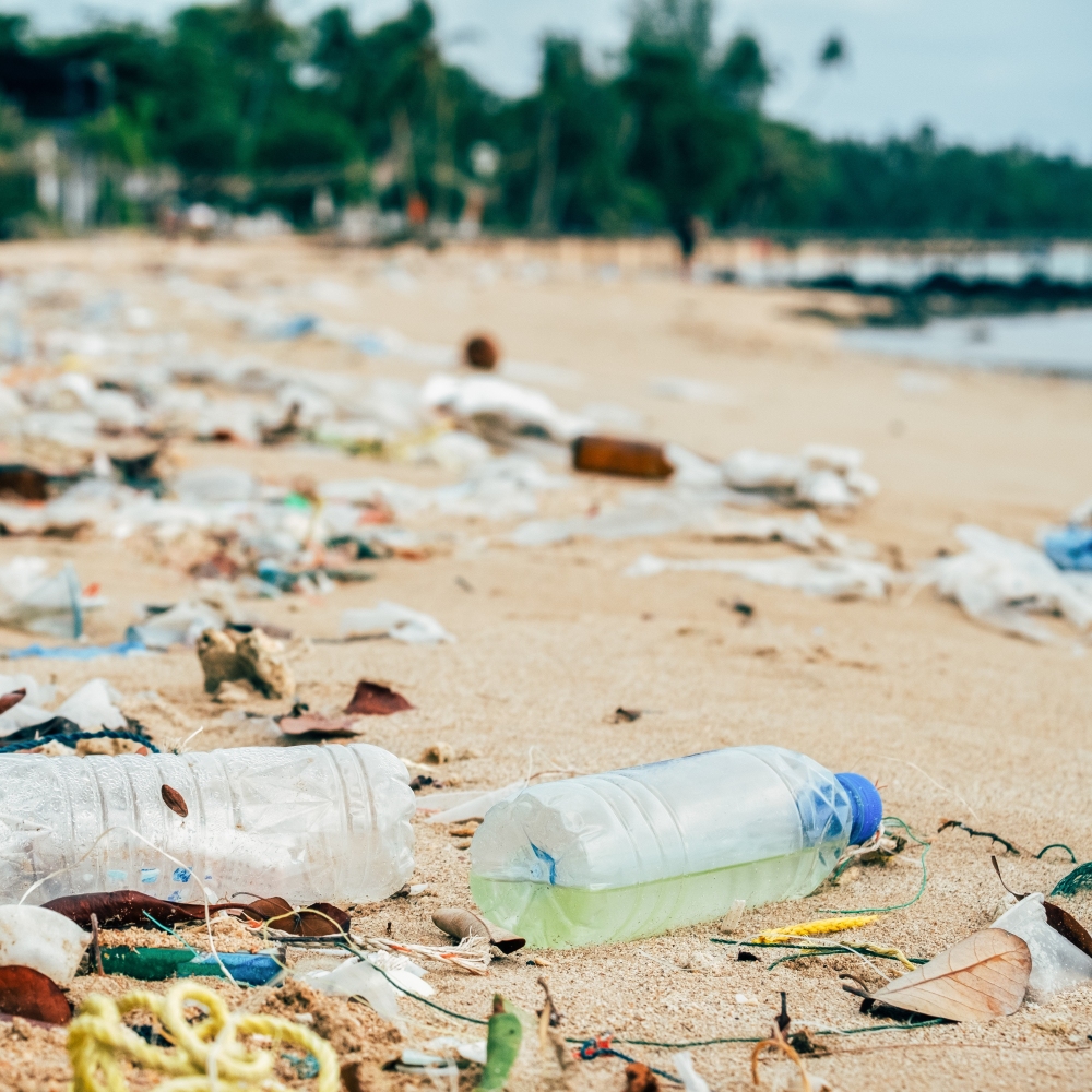 Alumínium vs. műanyag: Kis változtatás, nagy hatás. Itt az ideje búcsút mondani az egyszer használatos műanyagoknak.