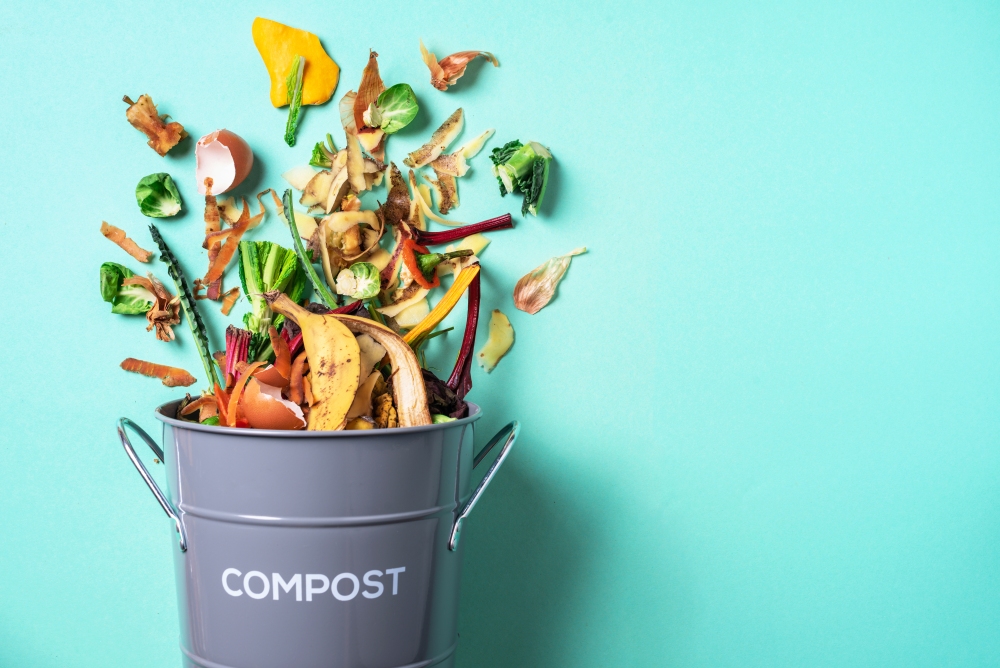 How to compost effectively? We will advise you on what you should know about composting.