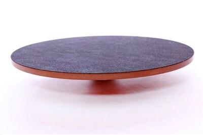 FitPaws Wobble Board