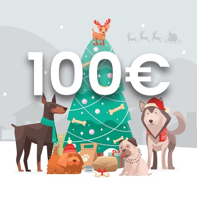 Vánoční dárkový poukaz DOXBOX v hodnotě 100 €