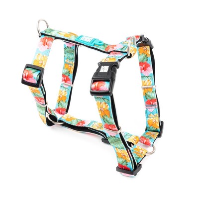 Exotique – Postroj pre psov v tvare “H”