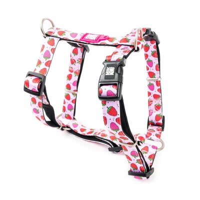 Strawberry Dream – Postroj pre psov v tvare “H”